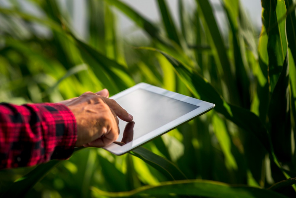 Agricultura digital: o que é e quais as vantagens