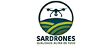 SarDrones